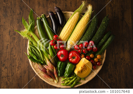 Summer vegetables gathering 101017648