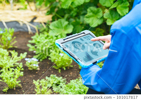 Farmer looking at a tablet in the field Agritech smart agriculture 101017817