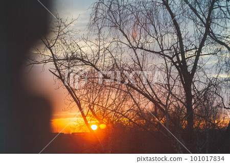 Beautiful morning dawn in spring. Fantastic dawn of the spring sun. Red shades and black silhouettes of trees. 101017834