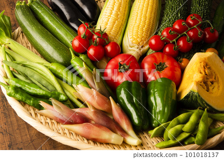 夏季蔬菜聚會 101018137