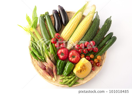 收集白色背景的夏季蔬菜 101018485
