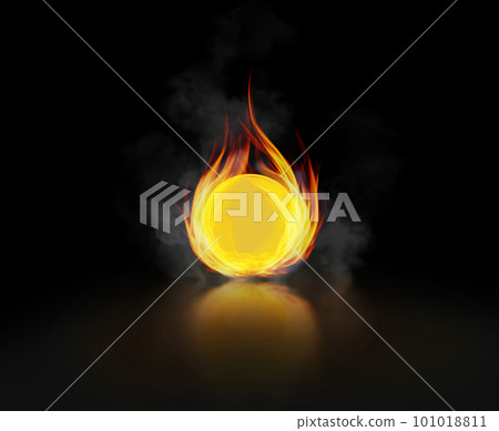 Burning blank gold coin in fire on black background 101018811