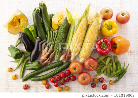 Summer vegetables gathering 101019002