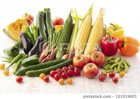 Summer vegetables gathering 101019003