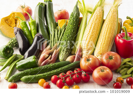 Summer vegetables gathering 101019009