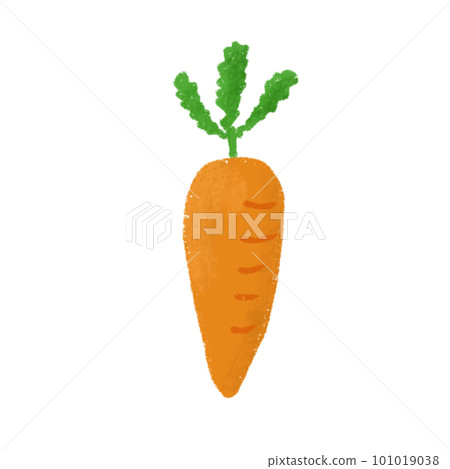 hand drawn style simple carrot illustration 101019038