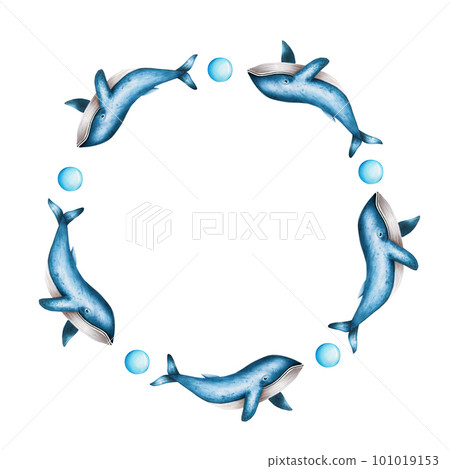 Watercolor frame with blue whales isolated on white background. Hand painting realistic Arctic and Antarctic ocean mammals. For designers, decoration, postcards, wrapping paper, scrapbooking, covers 101019153