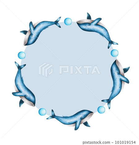 Watercolor frame with blue whales isolated on white background. Hand painting realistic Arctic and Antarctic ocean mammals. For designers, decoration, postcards, wrapping paper, scrapbooking, covers Watercolor frame with blue whales isolated on white background. Hand painting realistic Arctic and Antarctic ocean mammals. For designers, decoration, postcards, wrapping paper, scrapbooking, covers 101019154
