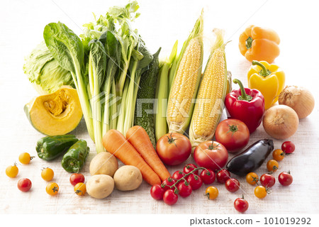 Vegetable set 101019292