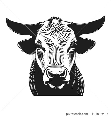 Bull s head full face. Brutal look. Hand drawn in graphic black and white style. Vintage vector graphics for posters and social media. Logo, poster for advertising, milk packaging. 101019403