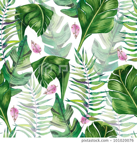 tropical leaves. Seamless patterns of tropical leaves in green and pink colors on a white background. Palm leaves, monstera hand-painted in watercolor. For printing on paper, fabric, design tropical leaves. Seamless patterns of tropical leaves in green and pink colors on a white background. Palm leaves, monstera hand-painted in watercolor. For printing on paper, fabric, design 101020076