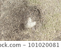 A heart-shaped stone on the ground! ! ! 101020081