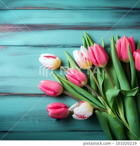 PINK TULIPS Botanical Print