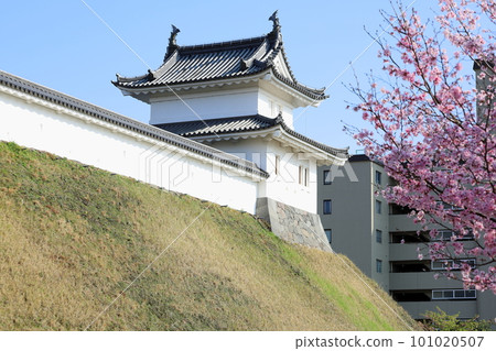 宇都宮城址櫻花公園/栃木縣宇都宮市 宇都宮城址櫻花公園/栃木縣宇都宮市 101020507
