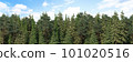3D rendering of the background panorama of a coniferous forest. Detailed outdoor background of hilly forest 101020516