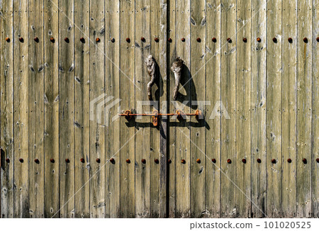 old fashioned european wooden door 101020525