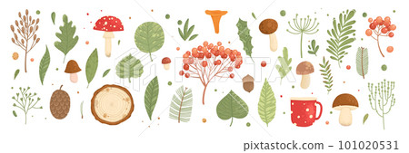 Collection of wild blooming meadow flowers isolated on white background and mushrooms. Bundle of wildflowers used in floristry. Set of decorative floral design elements. Flat colorful botanical vector 101020531