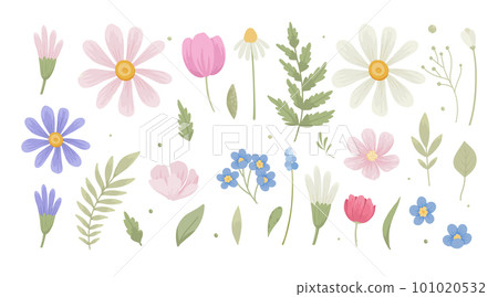 Modern blossomed flowers set. Abstract blooming floral plants and leaf. Fresh summer floristry, leaves. Nature design elements. Colored flat graphic vector illustrations isolated on white background 101020532