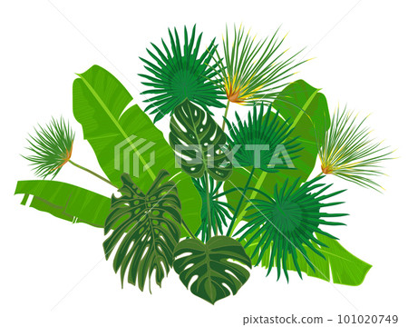Hand drawn tropical palm leaves composition with jungle exotic flower on white background Botanical vector illustration 101020749