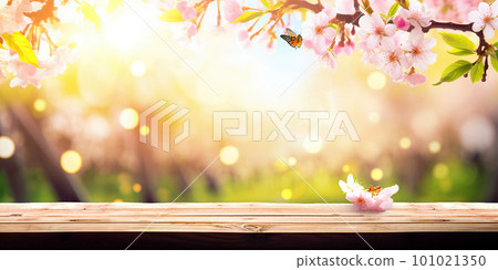 Spring background with empty wooden table. Natural template for product display with cherry blossoms bokeh and sunlight. Wooden table in spring blooming cherry orchard with butterflies 101021350