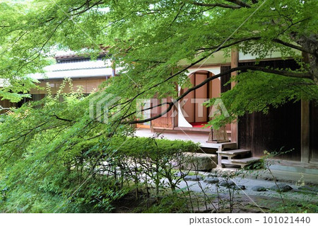 攝於神奈川縣鎌倉市明月院。繡球花開的時候 攝於神奈川縣鎌倉市明月院。繡球花開的時候 101021440