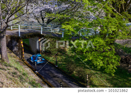 春天的丸岡公園卡丁車 春天的丸岡公園卡丁車 101021862