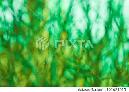 Colorful green defocused texture for your design. Blurred green natural background with bokeh 101021925