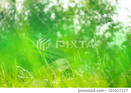 Glowing background with bokeh Glowing background with bokeh 101022117