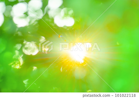 Colorful green defocused texture for your design. Blurred green natural background with bokeh Colorful green defocused texture for your design. Blurred green natural background with bokeh 101022118