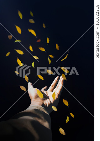 Tree leaves in mid air near with human hand Tree leaves in mid air near with human hand 101022218
