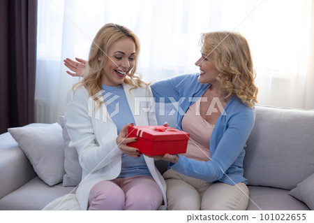 Happy daughter receiving a birthday present from her mother 101022655