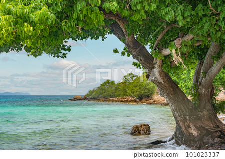 Landscape, sea, southeast asia. Beautiful landscape, Koh Larn island, Pattaya, Thailand. Landscape, sea, southeast asia. Beautiful landscape, Koh Larn island, Pattaya, Thailand. 101023337