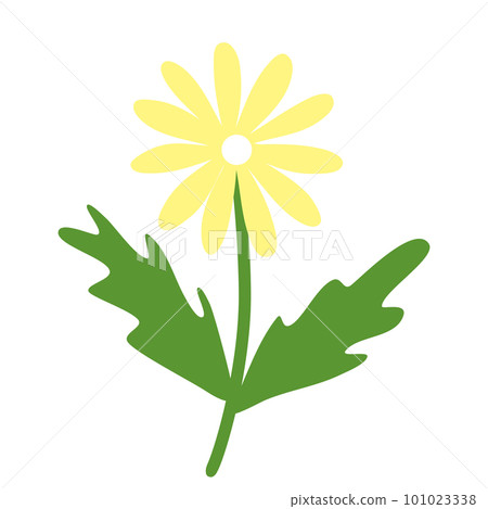 Chamomile or daisy flower, doodle style flat vector Chamomile or daisy flower, doodle style flat vector 101023338