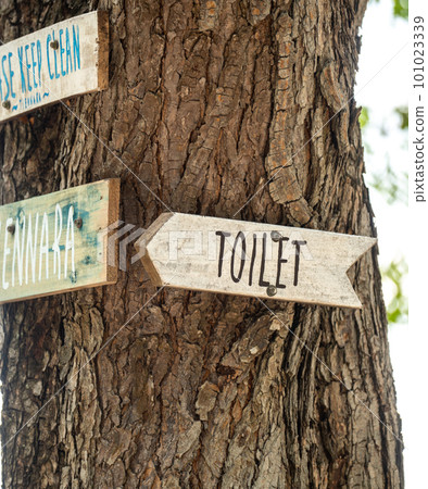 toilet sign. wooden sign hung over the entrance to toilet. Toilet pointer on the Old shabby wooden planks 101023339