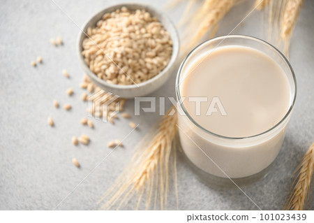 Vegan Barley milk in glass, plant based milk replacer. 101023439