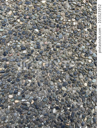 ground covered with pebbles ground covered with pebbles 101023952