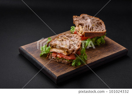 Delicious sandwich with crispy toast, chicken, tomatoes and lettuce 101024332