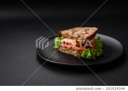 Delicious sandwich with crispy toast, chicken, tomatoes and lettuce 101024344
