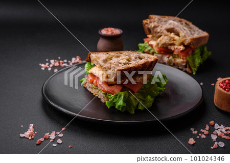 Delicious sandwich with crispy toast, chicken, tomatoes and lettuce 101024346
