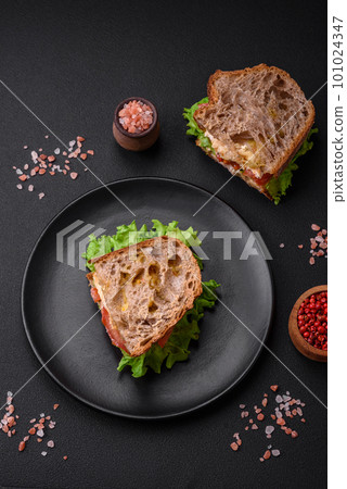 Delicious sandwich with crispy toast, chicken, tomatoes and lettuce 101024347
