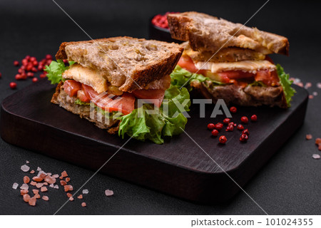 Delicious sandwich with crispy toast, chicken, tomatoes and lettuce 101024355