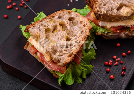 Delicious sandwich with crispy toast, chicken, tomatoes and lettuce Delicious sandwich with crispy toast, chicken, tomatoes and lettuce 101024356