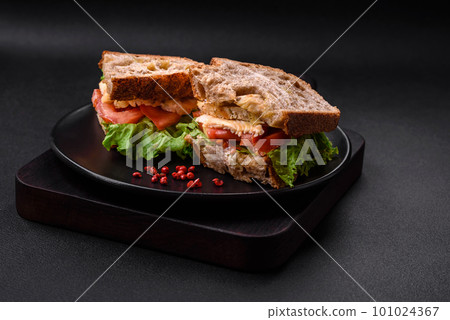 Delicious sandwich with crispy toast, chicken, tomatoes and lettuce 101024367