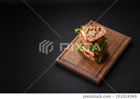 Delicious sandwich with crispy toast, chicken, tomatoes and lettuce 101024369