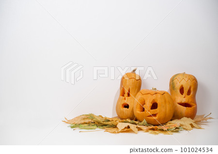 Group of jack-o-lantern on maple leaves. Halloween decoration on a white background. 101024534
