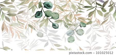 Eucalyptus branches, seeds and leaves. Hand drawn eucalyptus bouquet isolated on white background. Floral illustration Eucalyptus branches, seeds and leaves. Hand drawn eucalyptus bouquet isolated on white background. Floral illustration 101025012