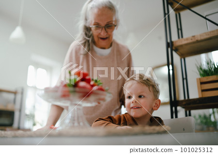 Grandmother giving homegrown strawberries to her little grandson. 101025312
