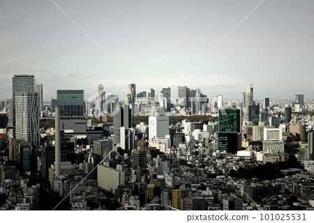 多雲天空中的東京全景 澀谷和新宿的高層建築 多雲天空中的東京全景 澀谷和新宿的高層建築 101025531