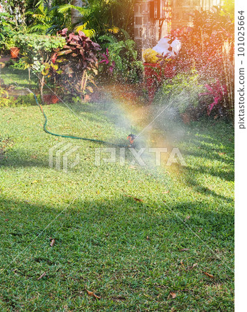 Sprinkler spray water on house lawn 101025664