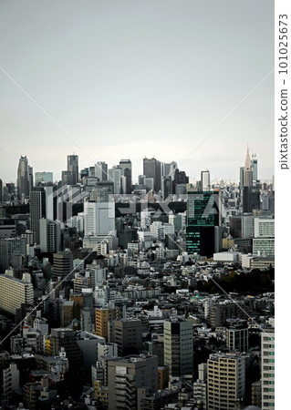 多雲的東京澀谷住宅區和新宿摩天大樓的全景 101025673